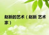 赵新的艺术（赵新 艺术家）