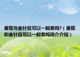番茄与金针菇可以一起煮吗?（番茄和金针菇可以一起煮吗简介介绍）