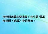 电视剧暗算主要演员（林小芳 谍战电视剧《暗算》中的角色）