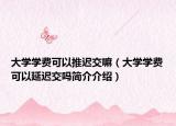 大学学费可以推迟交嘛（大学学费可以延迟交吗简介介绍）