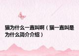 猫为什么一直叫啊（猫一直叫是为什么简介介绍）