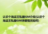 认识个海盗王私服GM介绍(认识个海盗王私服GM详细情况如何)