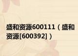 盛和资源600111（盛和资源[600392]）