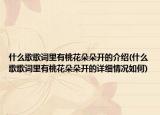 什么歌歌词里有桃花朵朵开的介绍(什么歌歌词里有桃花朵朵开的详细情况如何)