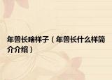 年兽长啥样子（年兽长什么样简介介绍）