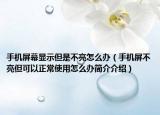 手机屏幕显示但是不亮怎么办（手机屏不亮但可以正常使用怎么办简介介绍）