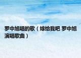 罗中旭唱的歌（嫁给我吧 罗中旭演唱歌曲）