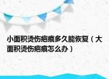 小面积烫伤疤痕多久能恢复（大面积烫伤疤痕怎么办）