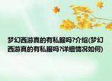 梦幻西游真的有私服吗?介绍(梦幻西游真的有私服吗?详细情况如何)