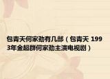 包青天何家劲有几部（包青天 1993年金超群何家劲主演电视剧）