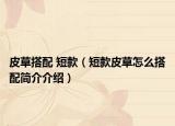 皮草搭配 短款（短款皮草怎么搭配简介介绍）