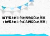 腋下毛上有白色附着物是怎么回事（腋毛上有白色的东西是怎么回事）