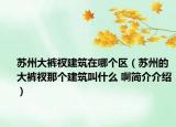 苏州大裤衩建筑在哪个区（苏州的大裤衩那个建筑叫什么 啊简介介绍）