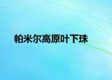 帕米尔高原叶下珠