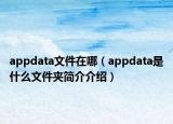 appdata文件在哪（appdata是什么文件夹简介介绍）