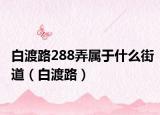 白渡路288弄属于什么街道（白渡路）
