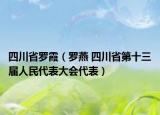 四川省罗霞（罗燕 四川省第十三届人民代表大会代表）