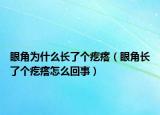 眼角为什么长了个疙瘩（眼角长了个疙瘩怎么回事）