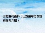 山野兰花百科（山野兰草怎么辨别简介介绍）