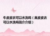 牛皮皮衣可以水洗吗（真皮皮衣可以水洗吗简介介绍）