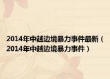2014年中越边境暴力事件最新（2014年中越边境暴力事件）