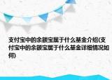 支付宝中的余额宝属于什么基金介绍(支付宝中的余额宝属于什么基金详细情况如何)