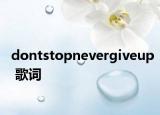 dontstopnevergiveup 歌词