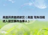 高露开奔驰进故宫（高露 驾车违规进入故宫事件当事人）