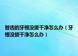智齿的牙根没拔干净怎么办（牙根没拔干净怎么办）