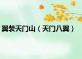 翼装天门山（天门八翼）