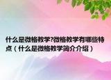 什么是微格教学?微格教学有哪些特点（什么是微格教学简介介绍）