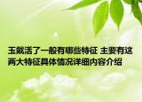玉戴活了一般有哪些特征 主要有这两大特征具体情况详细内容介绍