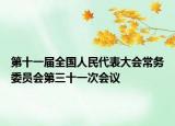 第十一届全国人民代表大会常务委员会第三十一次会议