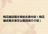 梅花魂这篇文章的主要内容（梅花魂这篇文章怎么概括简介介绍）