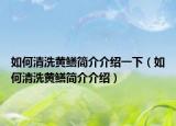 如何清洗黄鳝简介介绍一下（如何清洗黄鳝简介介绍）