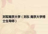 刘军南京大学（刘东 南京大学博士生导师）