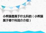 小熊猫是属于什么科的（小熊猫属于哪个科简介介绍）