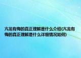 亢龙有悔的真正理解是什么介绍(亢龙有悔的真正理解是什么详细情况如何)
