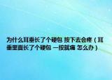 为什么耳垂长了个硬包 按下去会疼（耳垂里面长了个硬包 一按就痛 怎么办）