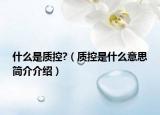 什么是质控?（质控是什么意思简介介绍）