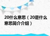 20什么意思（20是什么意思简介介绍）