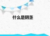 什么是阴茎