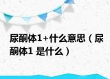 尿酮体1+什么意思（尿酮体1 是什么）