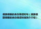 很撩很暖的表白情话短句（很撩很甜很暖的表白情话短信简介介绍）