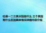 社保一二三类分别是什么 三个类别有什么区别具体情况详细内容介绍