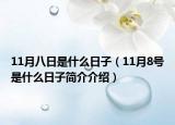 11月八日是什么日子（11月8号是什么日子简介介绍）