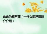 啥啥的葫芦藤（一什么葫芦藤简介介绍）