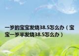 一岁的宝宝发烧38.5怎么办（宝宝一岁半发烧38.5怎么办）