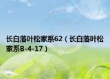 长白落叶松家系62（长白落叶松家系B-4-17）