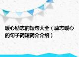 暖心励志的短句大全（励志暖心的句子简短简介介绍）